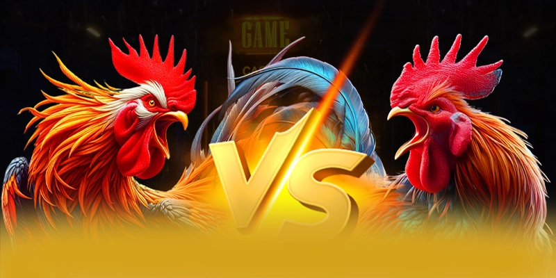 FB88 - Trang game quy tụ nhiều siêu phẩm hot tại Việt Nam